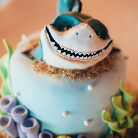 shark inspired cake design for engagement