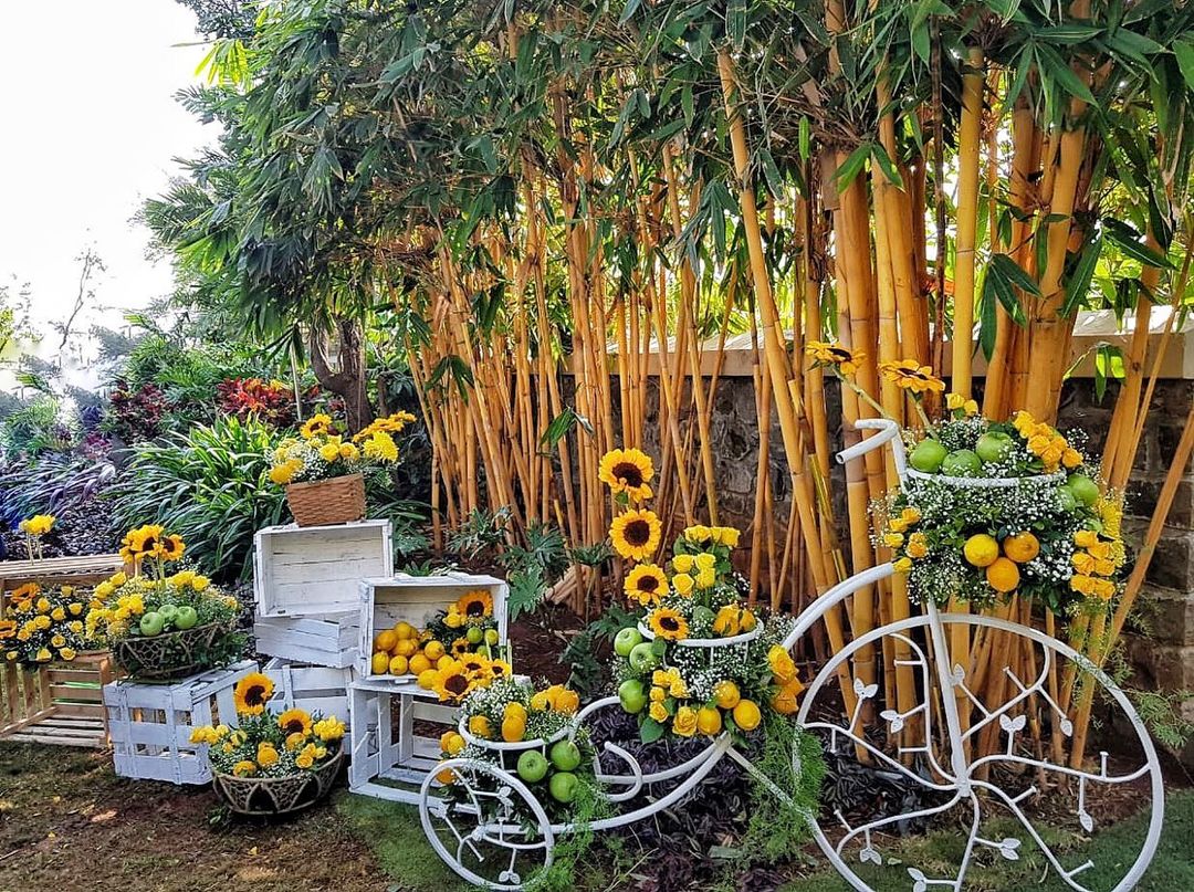 Mehndi Decor - cycle