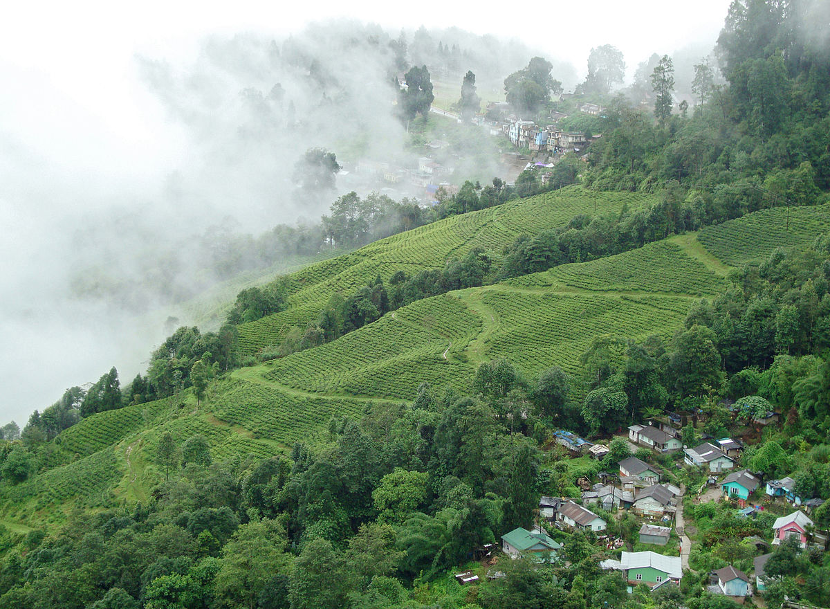 Darjeeling, West Bengal - corporate retreat destinations