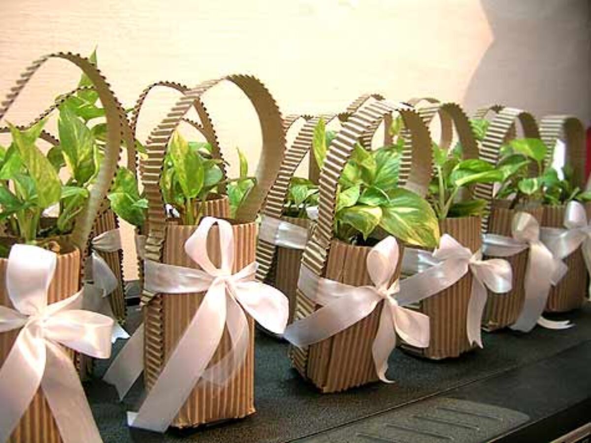 return gift ideas for eco friendly wedding