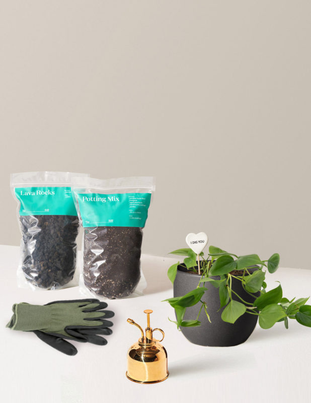 Valentine's day gift - gardening kit