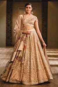 Golden Zardosi Embroidery Lehenga