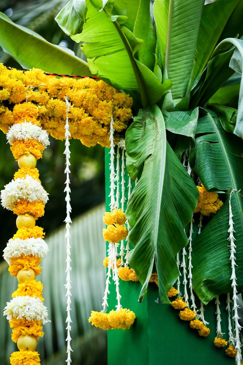 banana leaves and marigold flowers for decoration of south indian mehendi ceremony