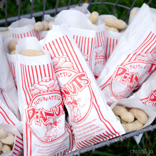 peanuts for food for carnival theme party