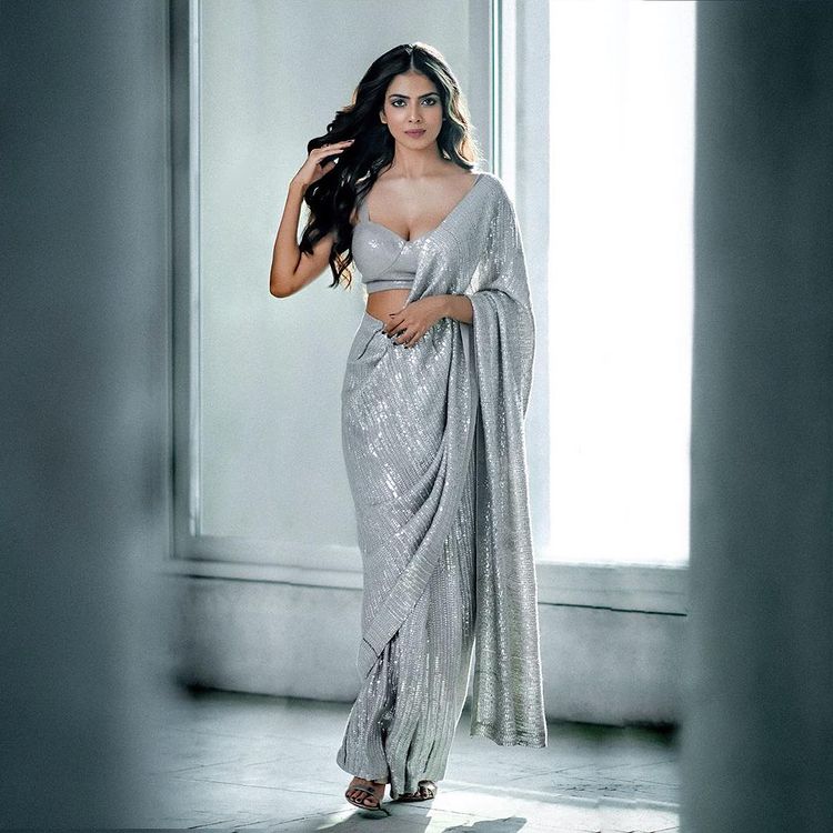 silver sequin saree